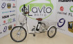 Tricycle DW101 (350W)