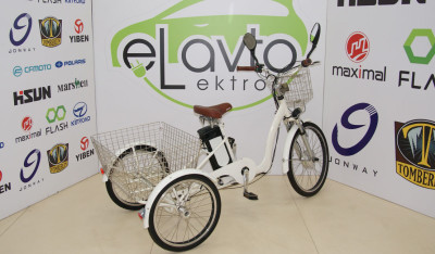 Tricycle DW101 (350W)