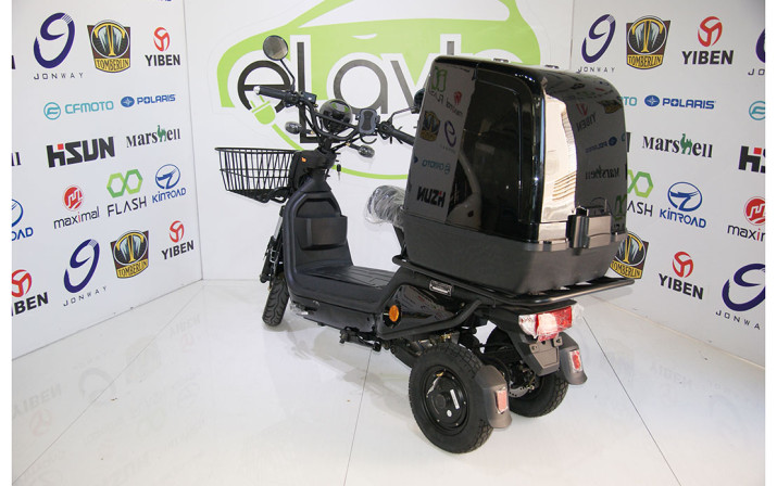Tricycle electric D2D (one-seat)